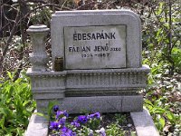 Fábián János szds